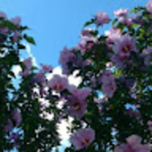 Meet your Posher, Ana